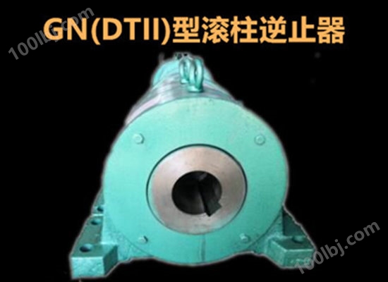 GN(DTII)130型滚柱逆止器 输送提升机减速器专用 Backstop