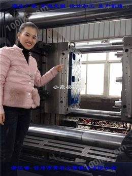 1210川字塑胶卡板模具台州塑胶模具厂家