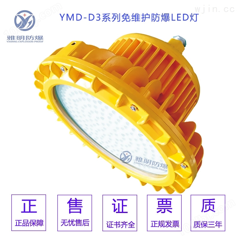 YMD-80W100W120W气体防爆防腐LED投光灯