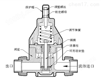 阔思DN系列PVC计量泵管路配件价格
